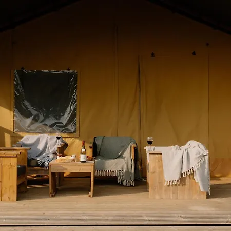 Dragonfly Riverdale Yorkshire